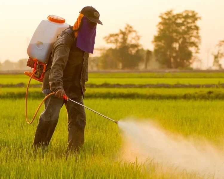 Pesticides in Conventional Foods 