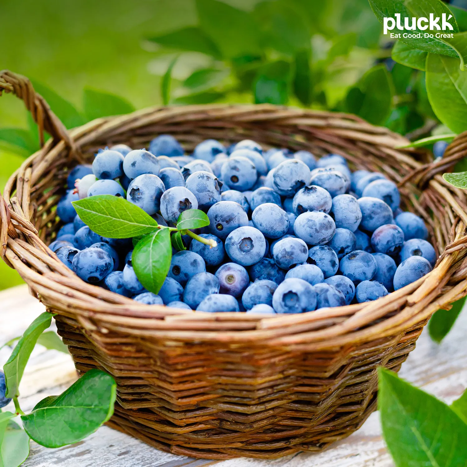 Blueberries: Tiny Berries, Big Benefits